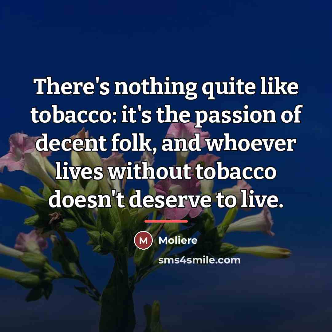 “There's nothing quite like tobacco: it's the passion of decent…” quote by Moliere