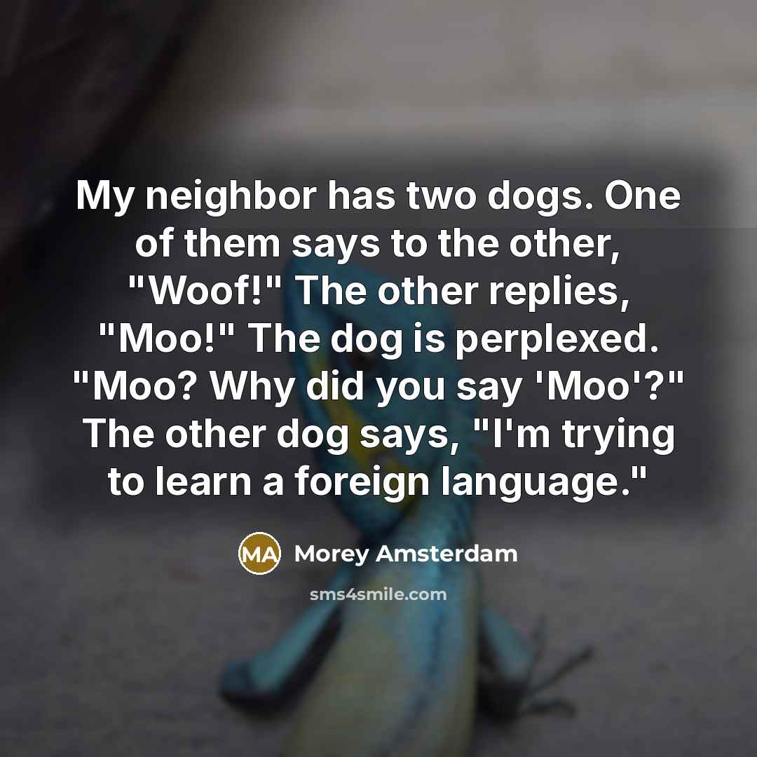 “My neighbor has two dogs. One of them says to the other, "Woof!" The other replies, "Moo!" The dog is perplexed. "Moo? Why did you say 'Moo'?" The other dog says, "I'm trying to learn a foreign language."” quote by Morey Amsterdam