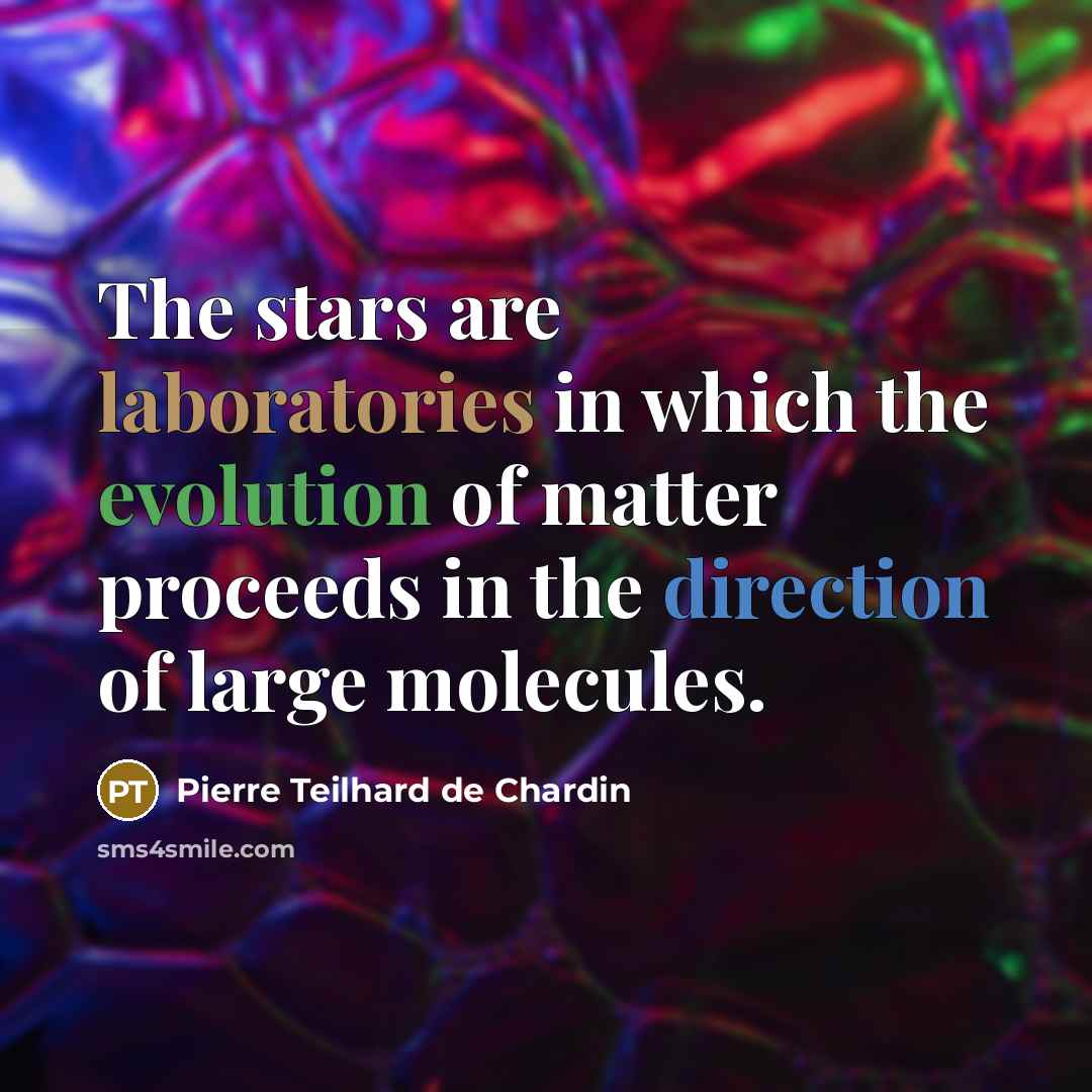 “The stars are laboratories in which the evolution of matter…” quote by Pierre Teilhard de Chardin
