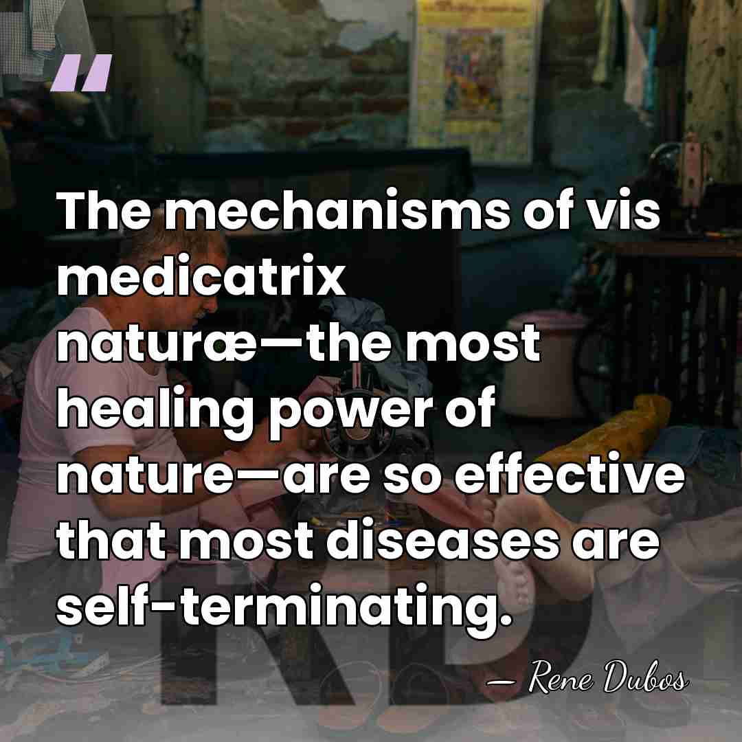 The mechanisms of vis medicatrix naturæ—the most healing power of nature—are so&hellip; - Rene Dubos