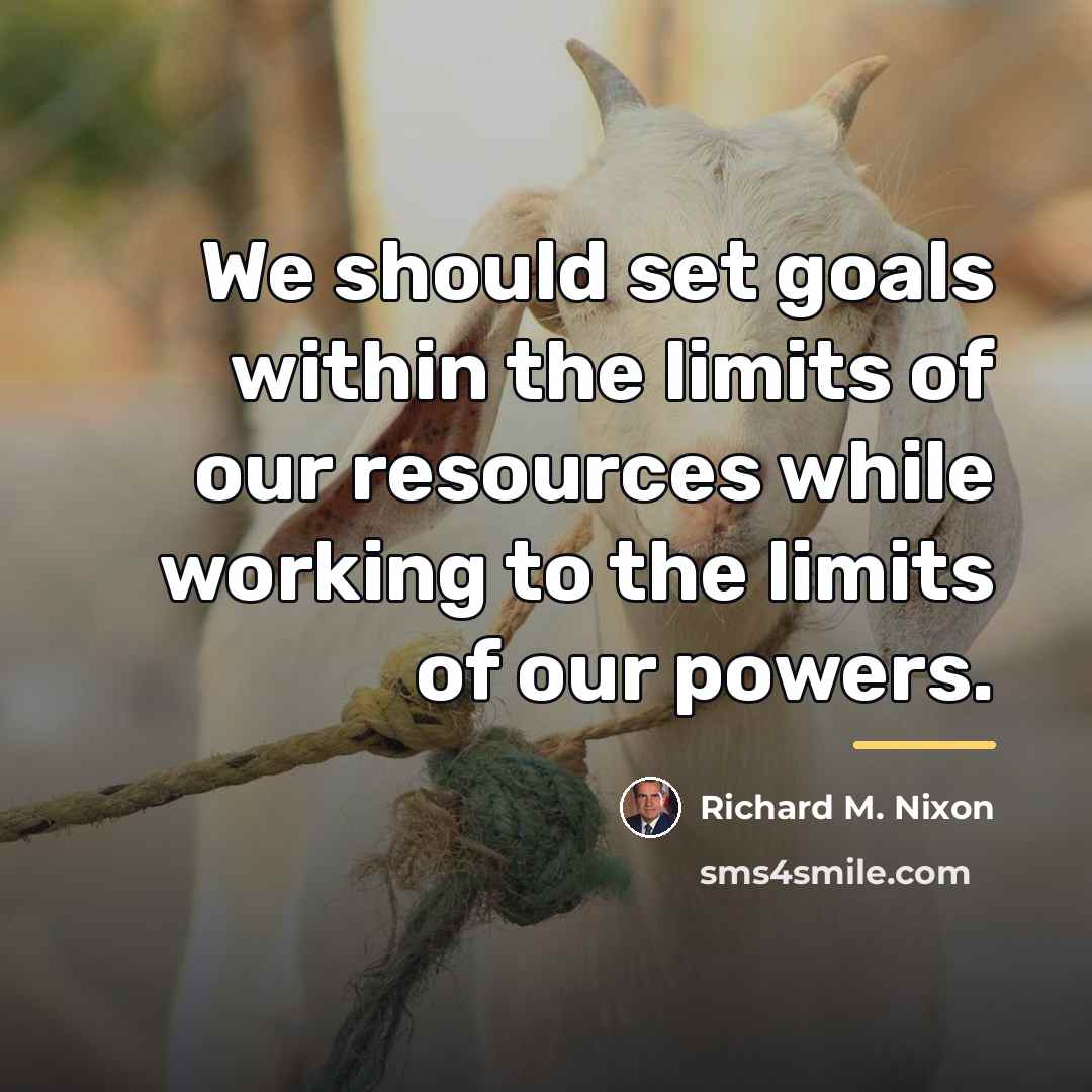 “We should set goals within the limits of our resources…” quote by Richard M. Nixon