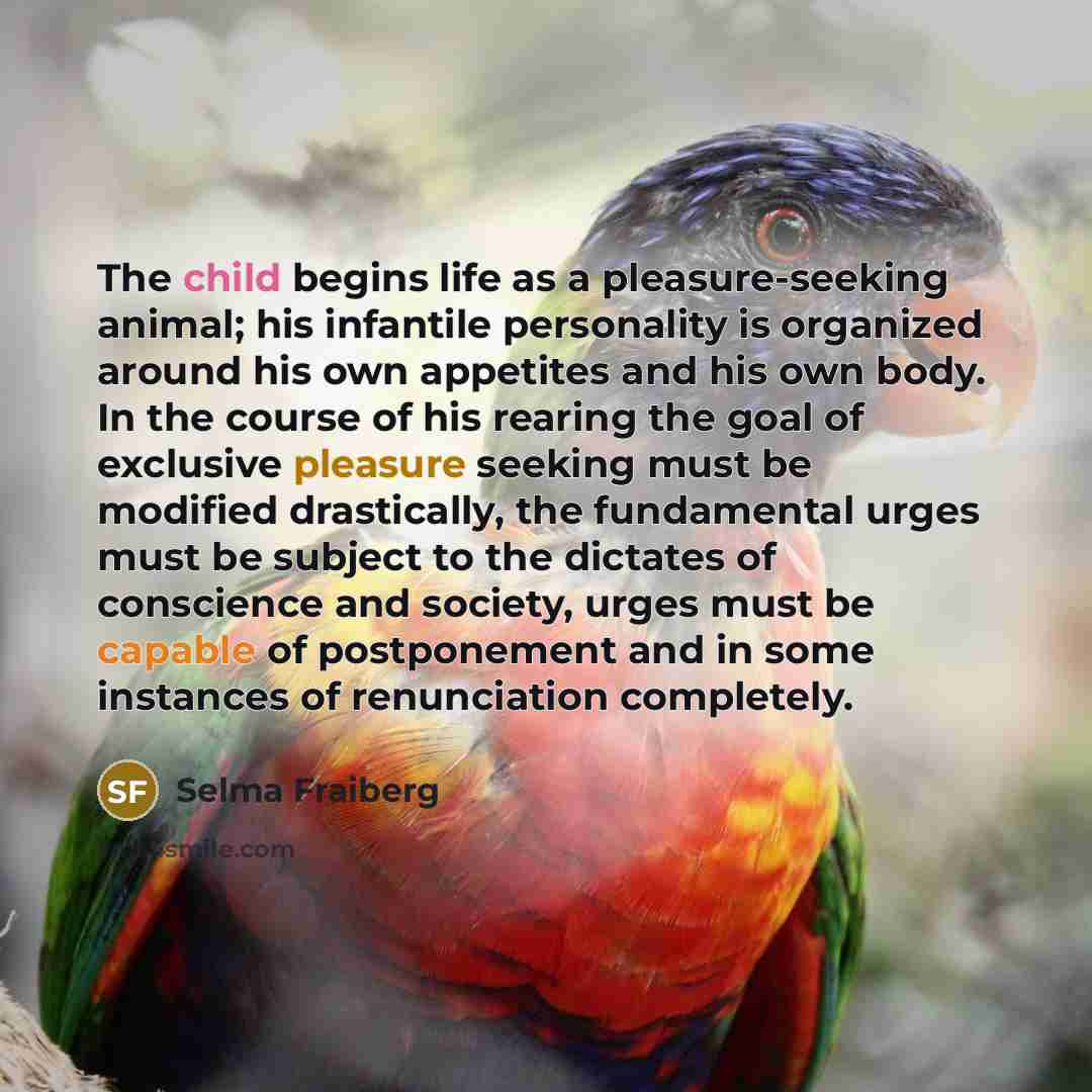 “The child begins life as a pleasure-seeking animal; his infantile…” quote by Selma Fraiberg