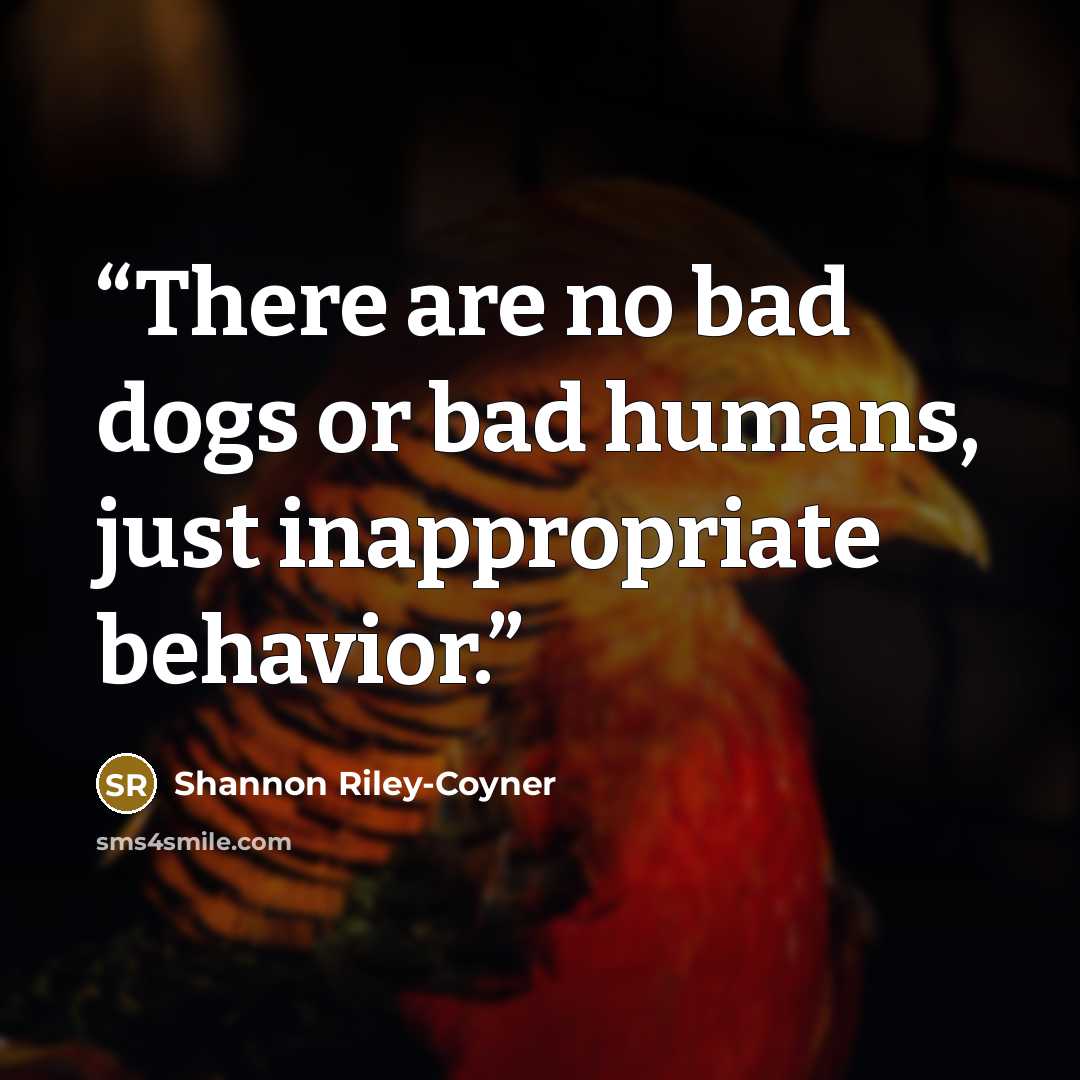 “There are no bad dogs or bad humans, just inappropriate behavior.” quote by Shannon Riley-Coyner