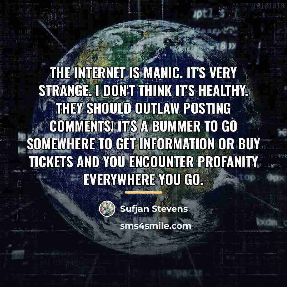 “The Internet is manic. It's very strange. I don't think…” quote by Sufjan Stevens