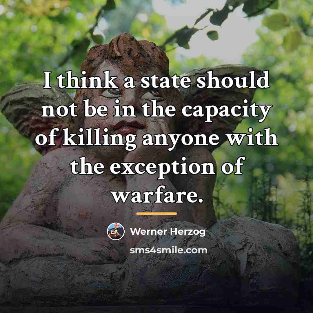 “I think a state should not be in the capacity…” quote by Werner Herzog