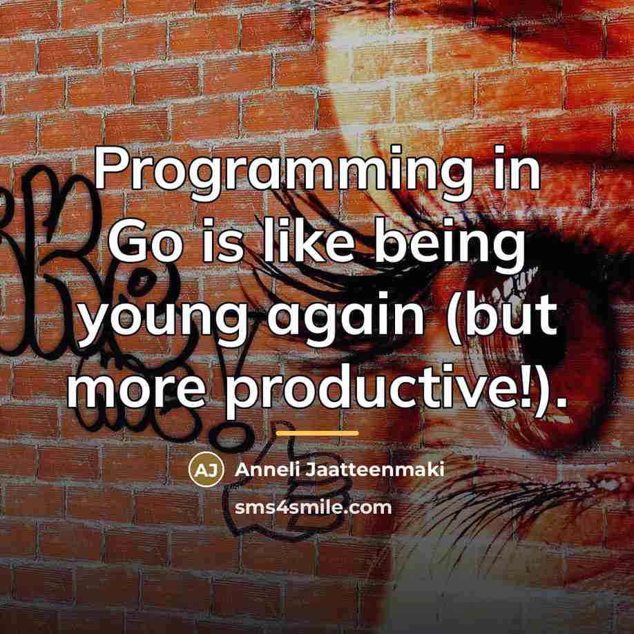 “Programming in Go is like being young again (but more…” quote by Anneli Jaatteenmaki