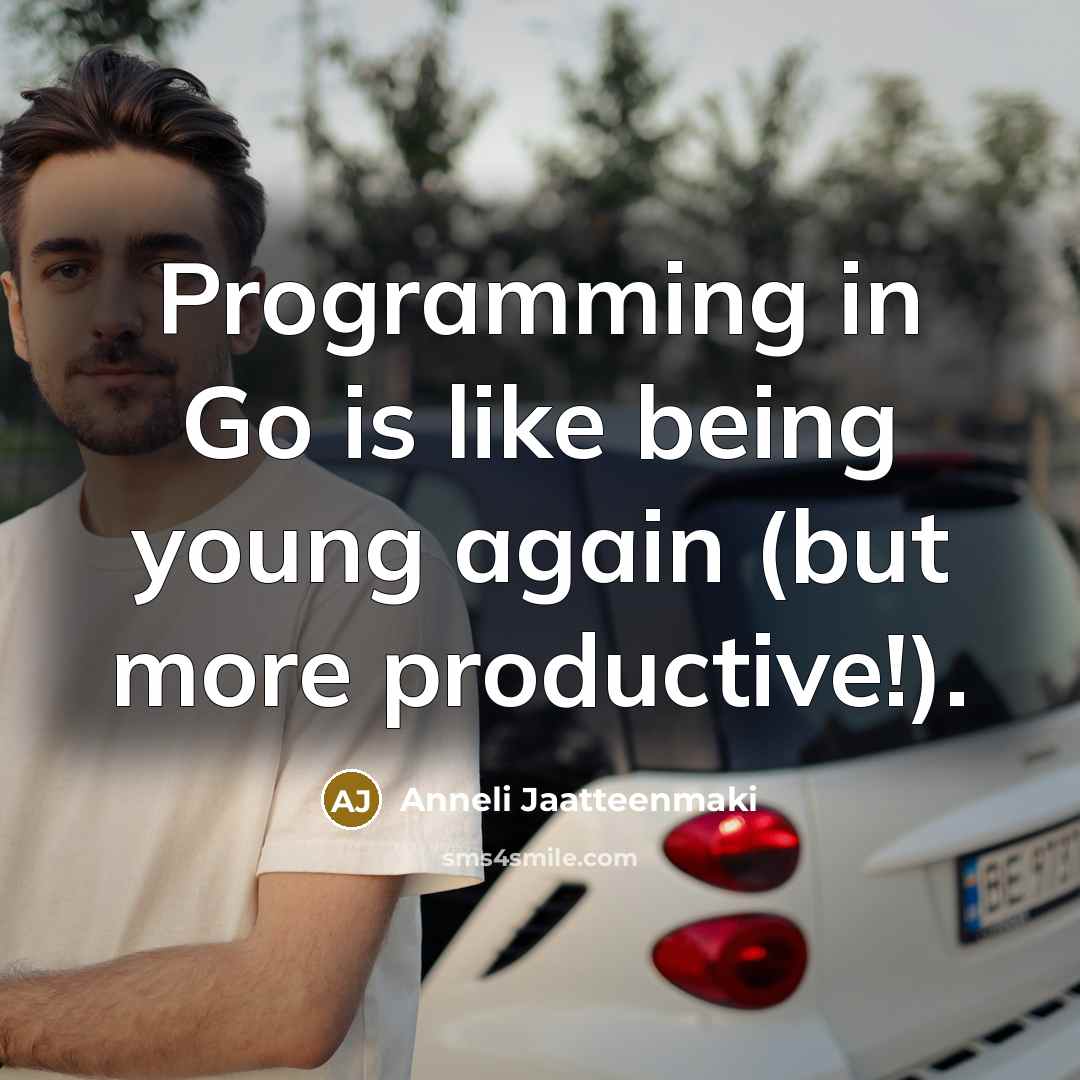 “Programming in Go is like being young again (but more productive!).” quote by Anneli Jaatteenmaki