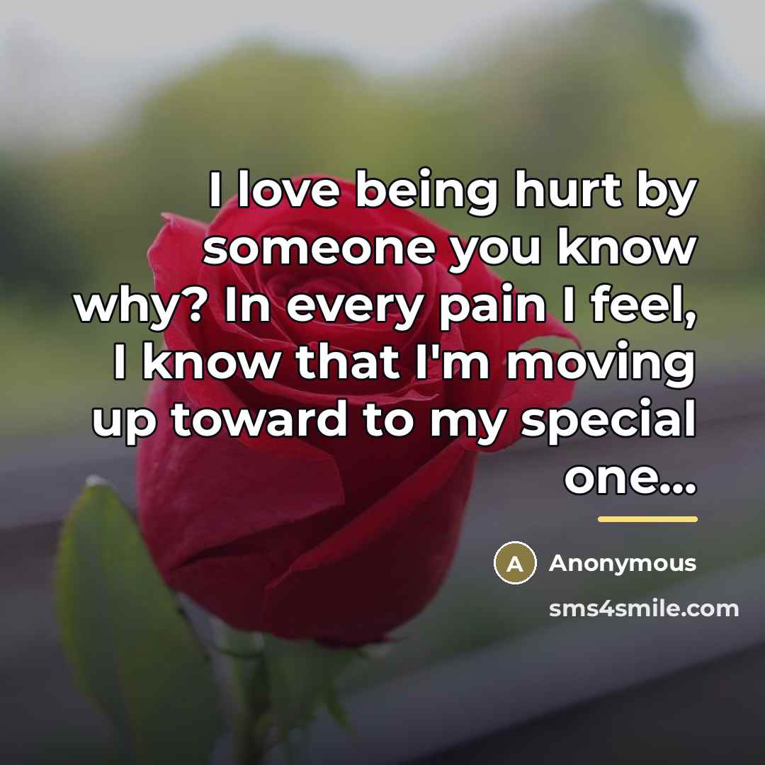 “I love being hurt by someone you know why? In…” quote by Anonymous