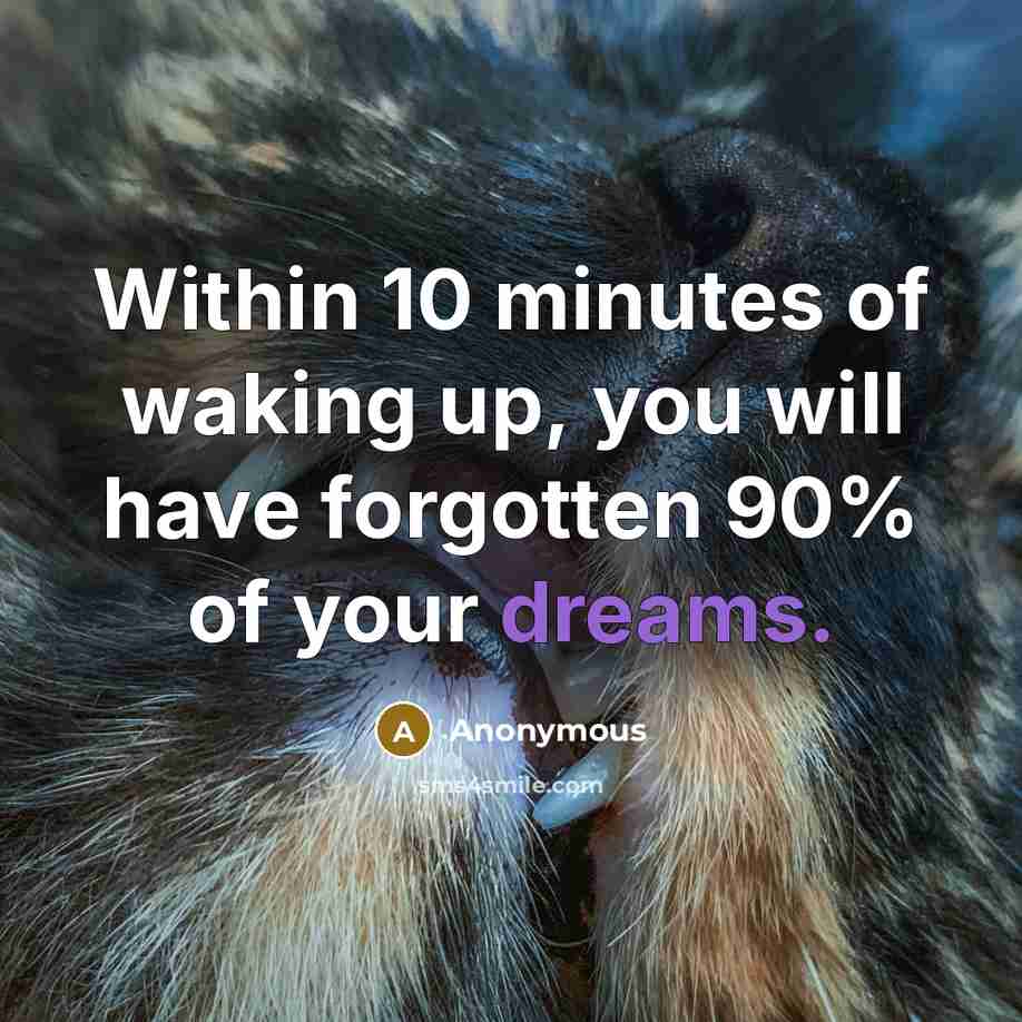 “Within 10 minutes of waking up, you will have forgotten…” quote by Anonymous