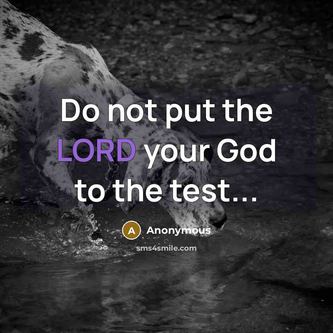 “Do not put the LORD your God to the test...…” quote by Anonymous