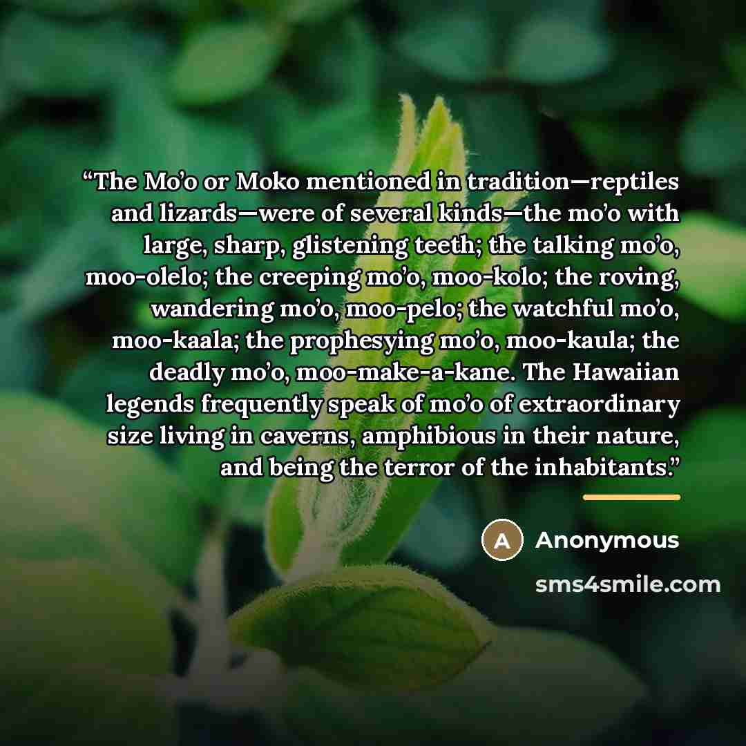 “The Mo’o or Moko mentioned in tradition—reptiles and lizards—were of several kinds—the mo’o with large, sharp, glistening teeth; the talking mo’o, moo-olelo; the creeping mo’o, moo-kolo; the roving, wandering mo’o, moo-pelo; the watchful mo’o, moo-kaala; the prophesying mo’o, moo-kaula; the deadly…” quote by Anonymous
