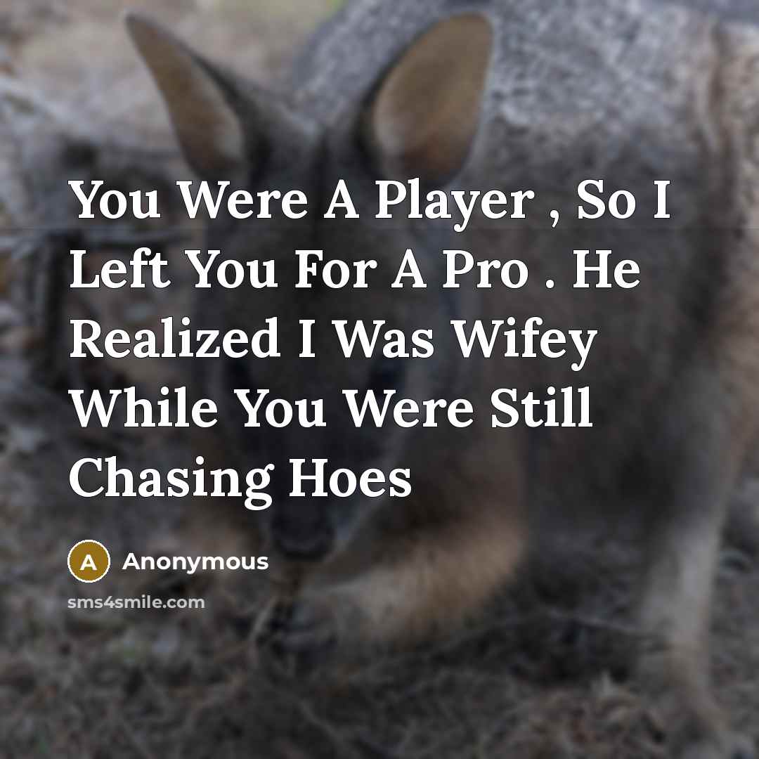 “You Were A Player , So I Left You For…” quote by Anonymous