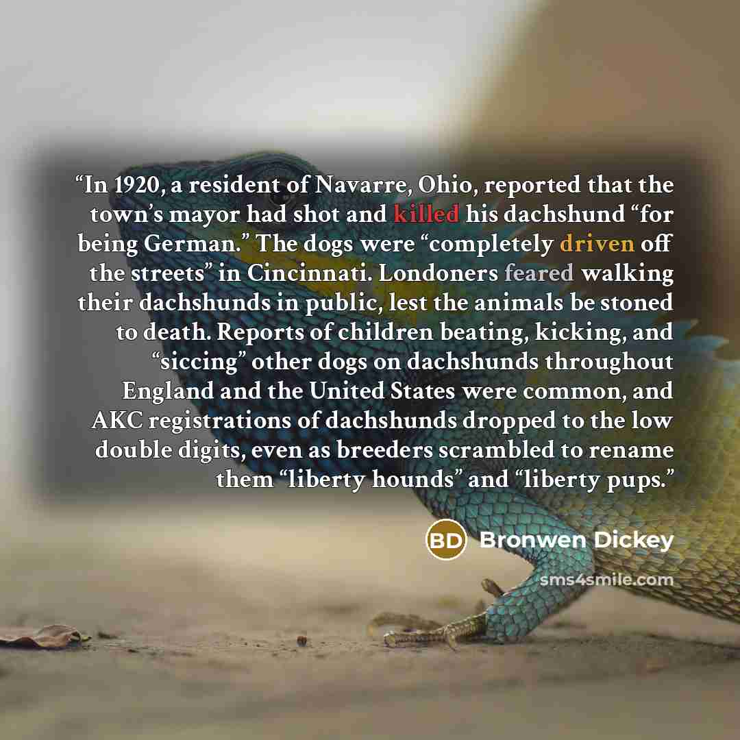 “In 1920, a resident of Navarre, Ohio, reported that the town’s mayor had shot and killed his dachshund “for being German.” The dogs were “completely driven off the streets” in Cincinnati. Londoners feared walking their dachshunds in public, lest the animals be stoned to death. Reports of children…” quote by Bronwen Dickey