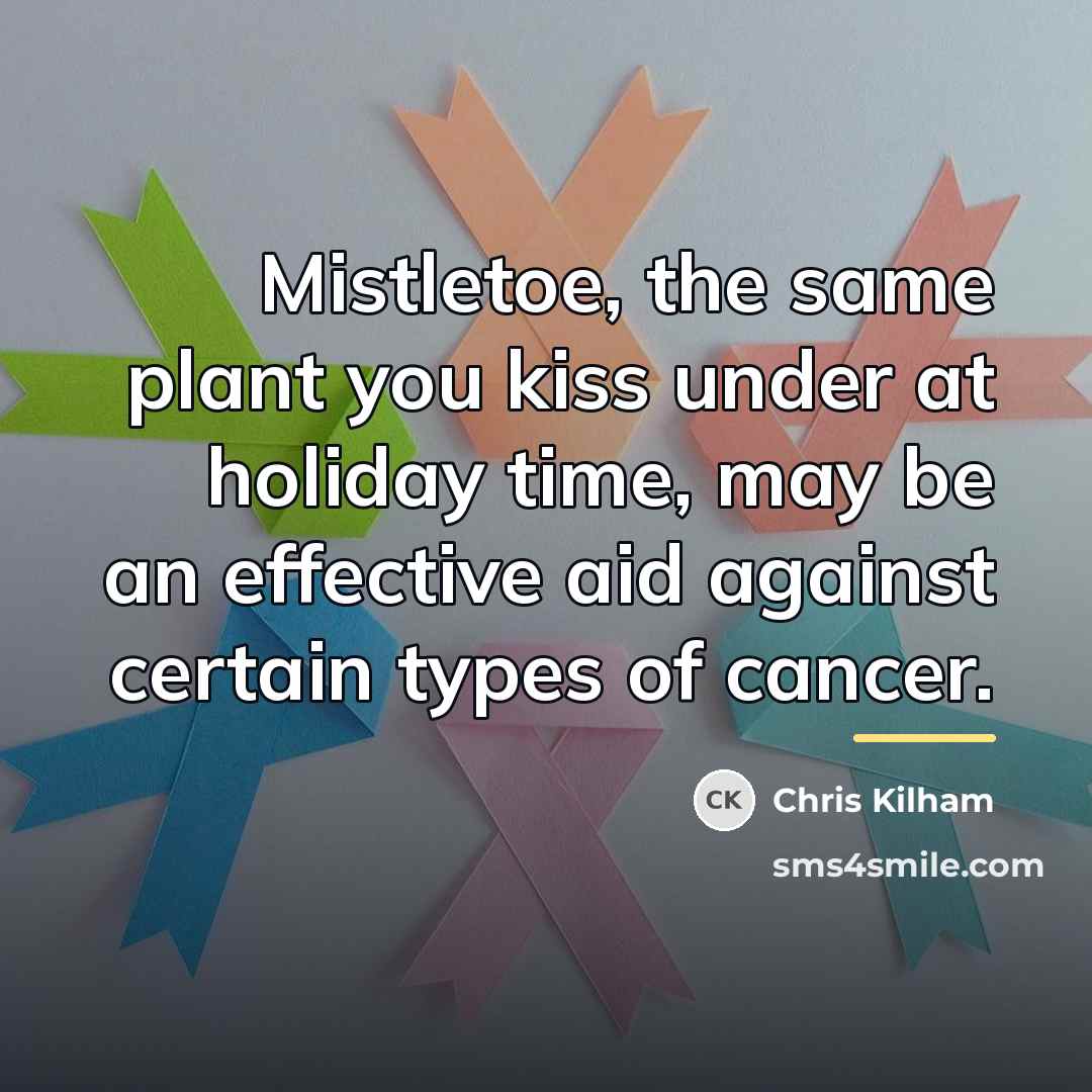 “Mistletoe, the same plant you kiss under at holiday time,…” quote by Chris Kilham