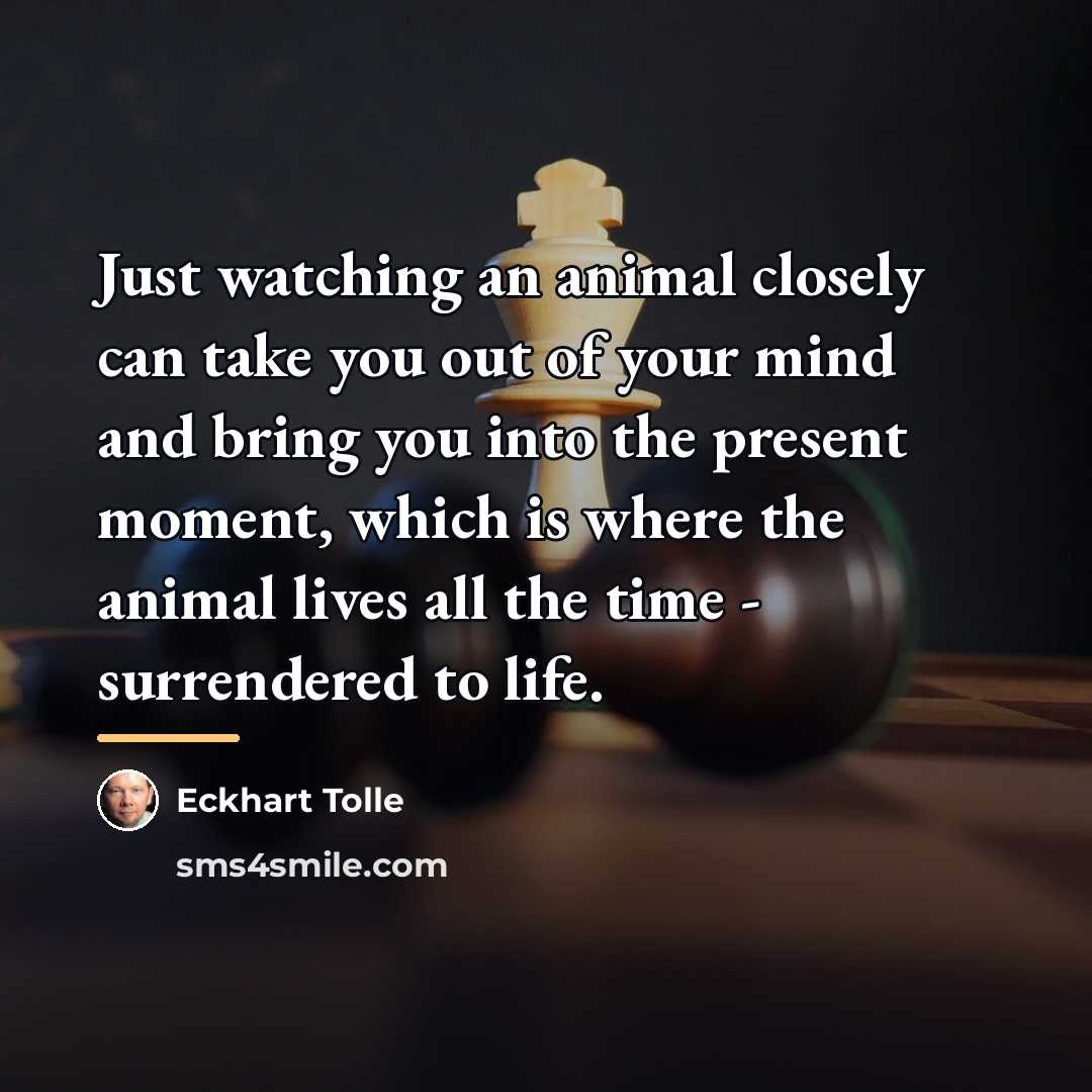 “Just watching an animal closely can take you out of…” quote by Eckhart Tolle