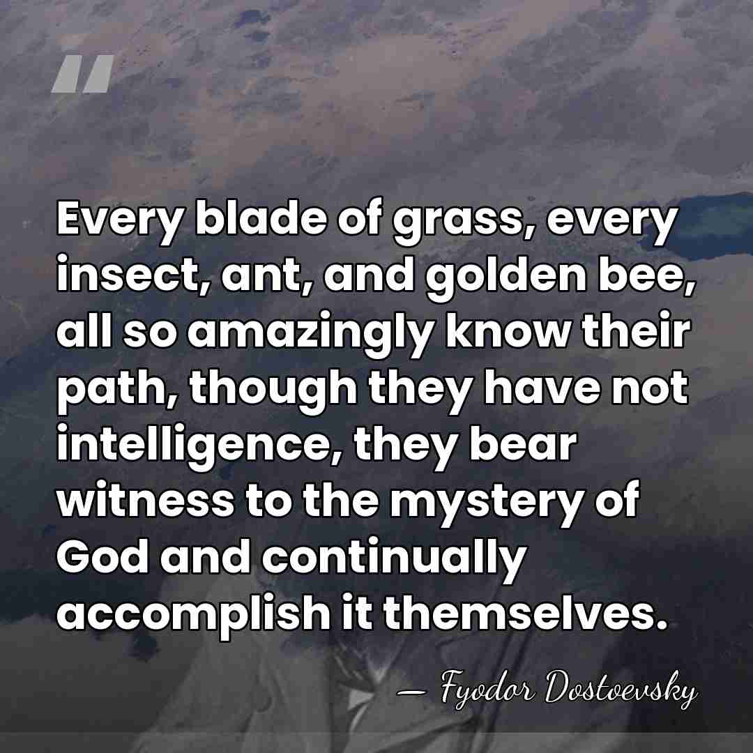 Every blade of grass, every insect, ant, and golden bee, all so&hellip; - Fyodor Dostoevsky