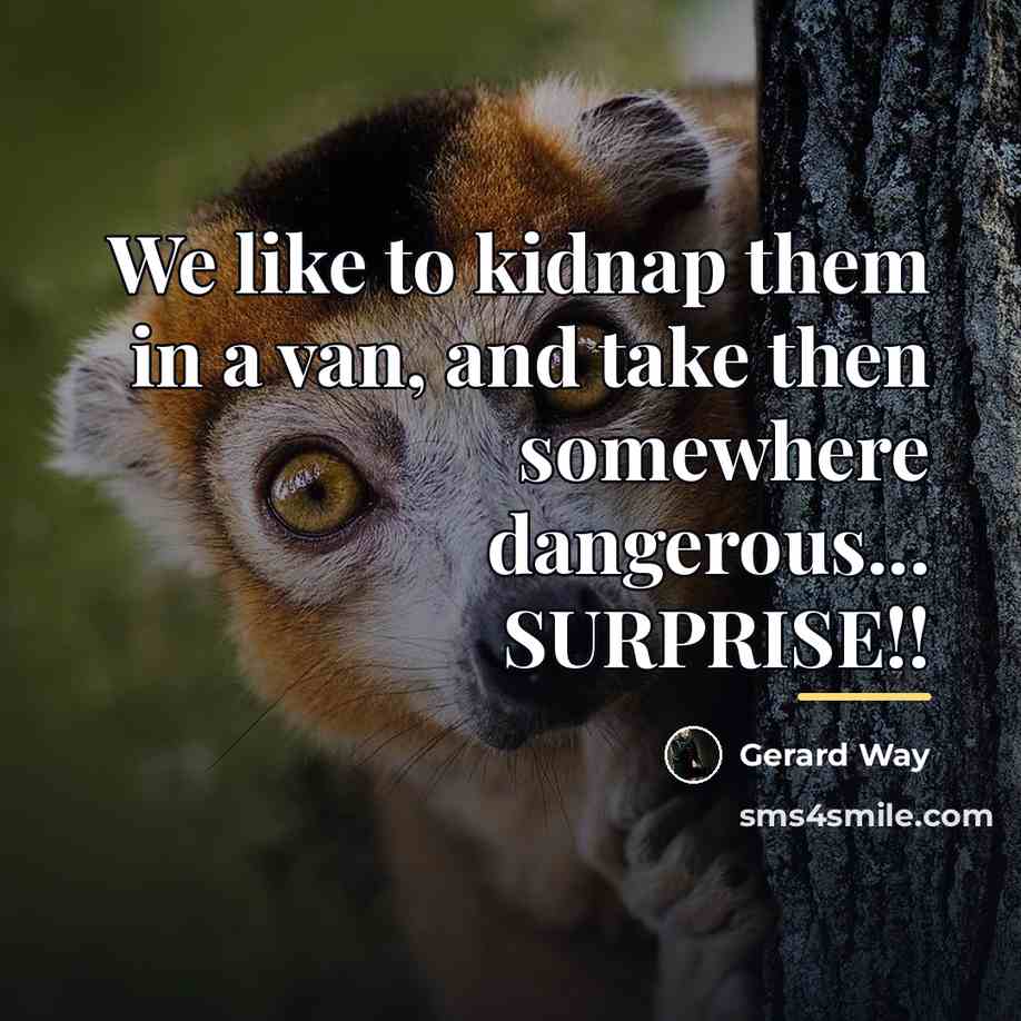 “We like to kidnap them in a van, and take…” quote by Gerard Way