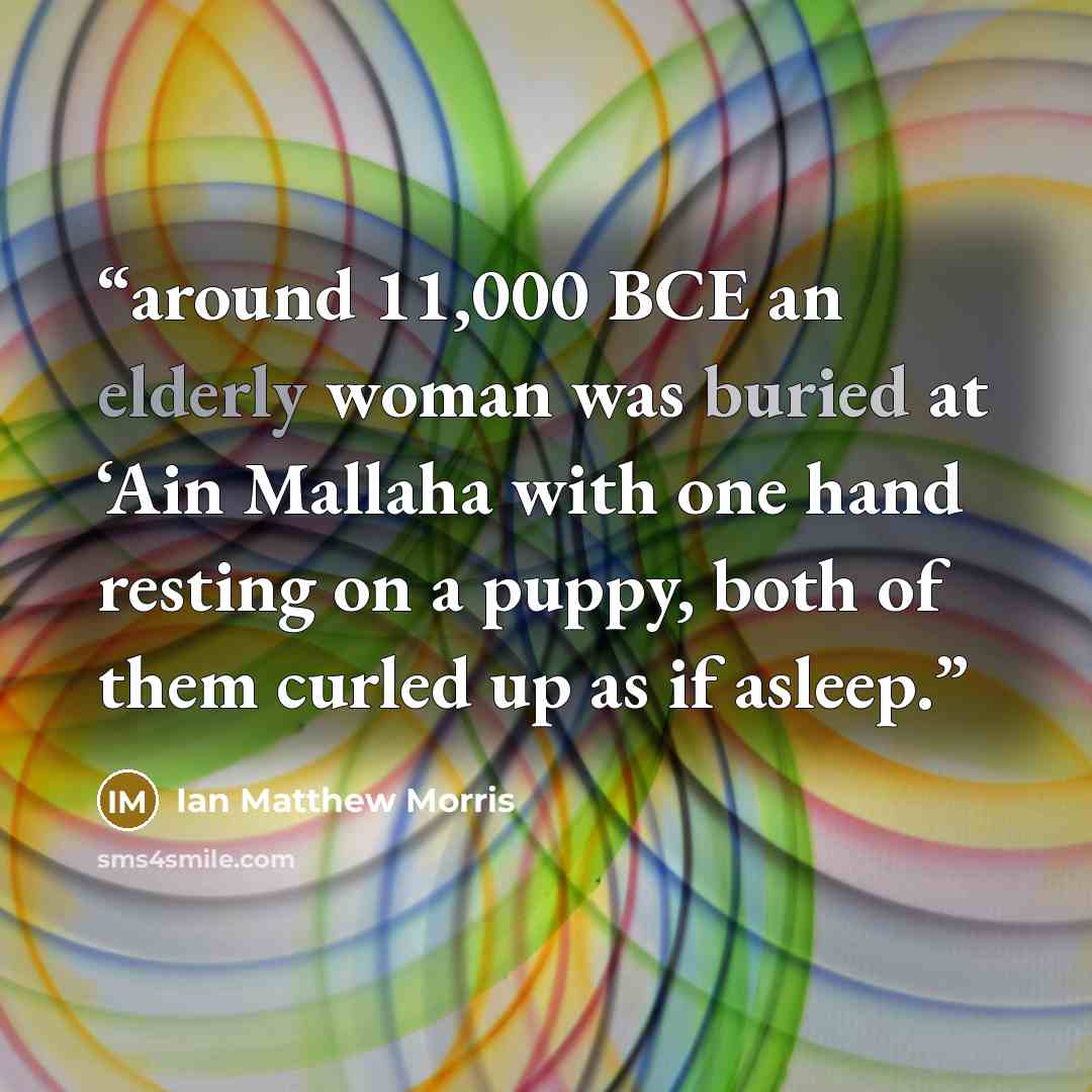 “around 11,000 BCE an elderly woman was buried at ‘Ain Mallaha with one hand resting on a puppy, both of them curled up as if asleep.” quote by Ian Matthew Morris