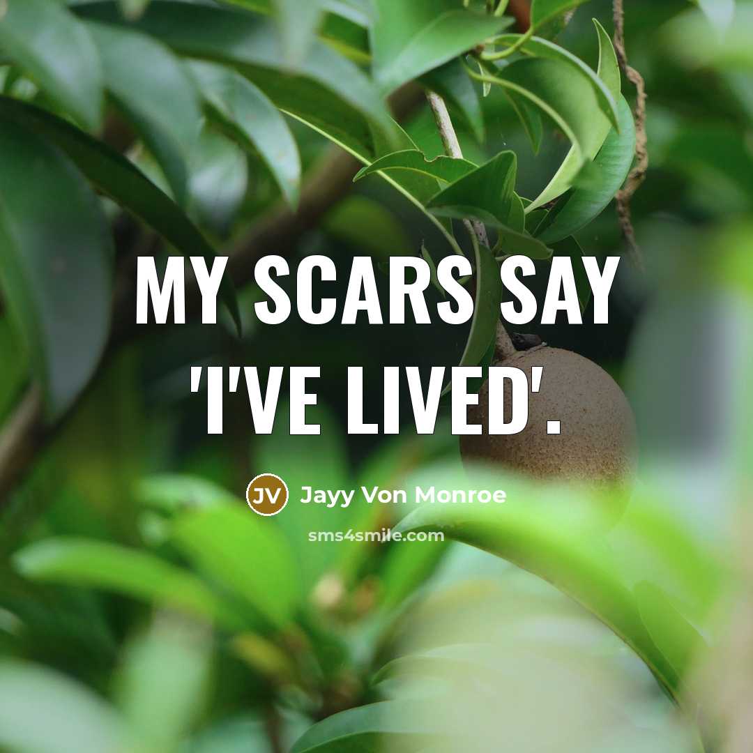 “My scars say 'I've lived'.” quote by Jayy Von Monroe