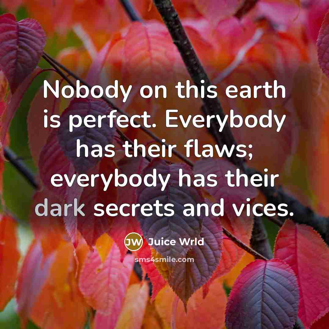 “Nobody on this earth is perfect. Everybody has their flaws;…” quote by Juice Wrld
