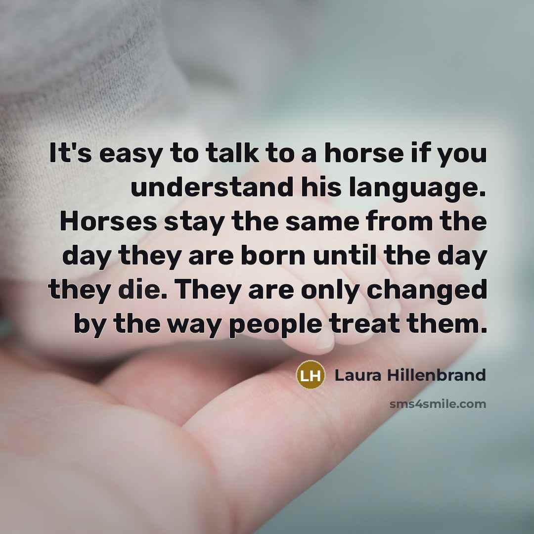 “It's easy to talk to a horse if you understand…” quote by Laura Hillenbrand
