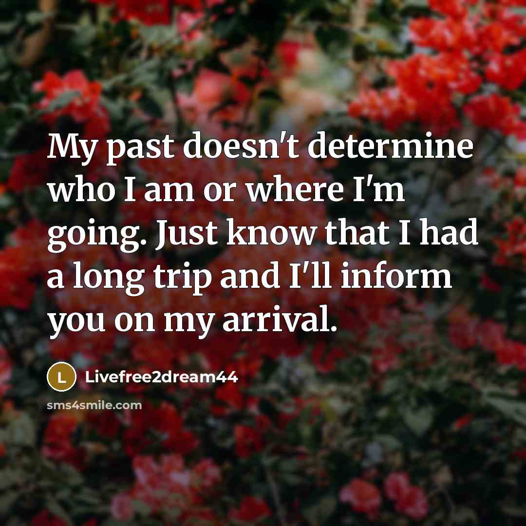 “My past doesn't determine who I am or where I'm…” quote by Livefree2dream44