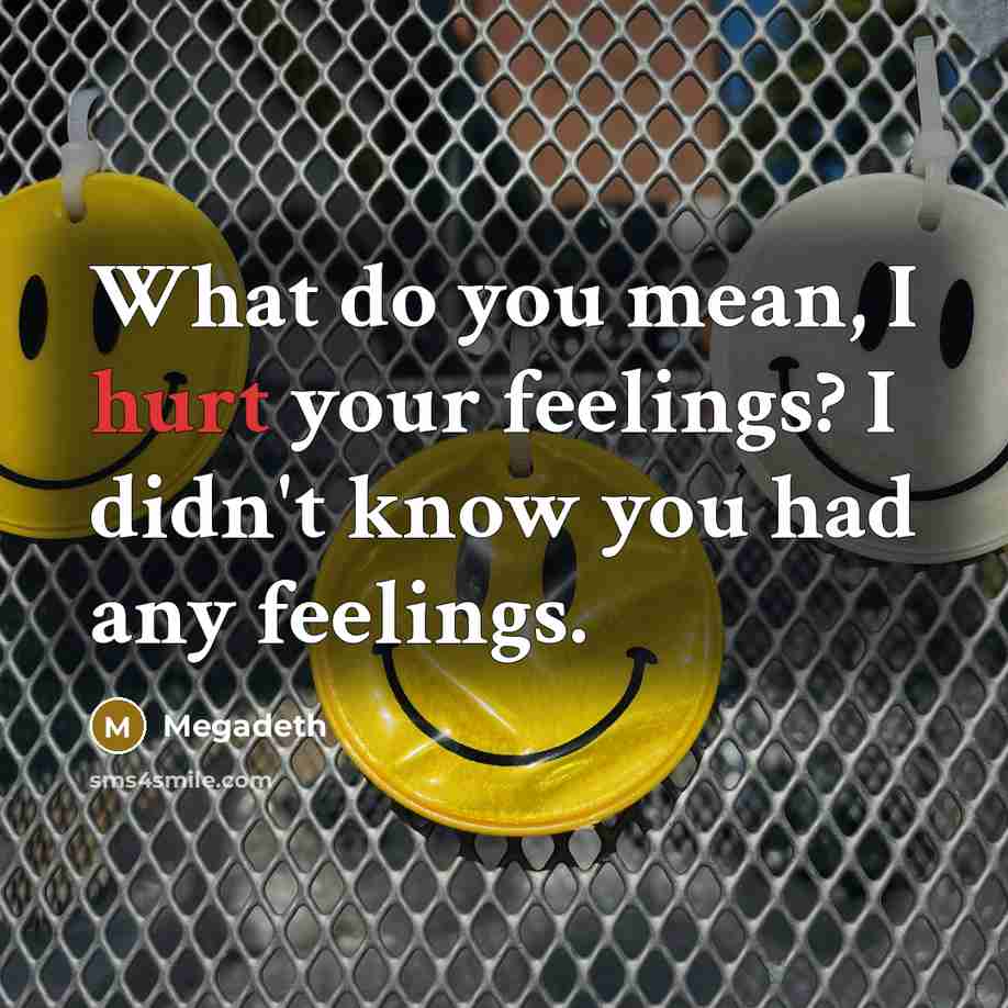 “What do you mean, I hurt your feelings? I didn't…” quote by Megadeth
