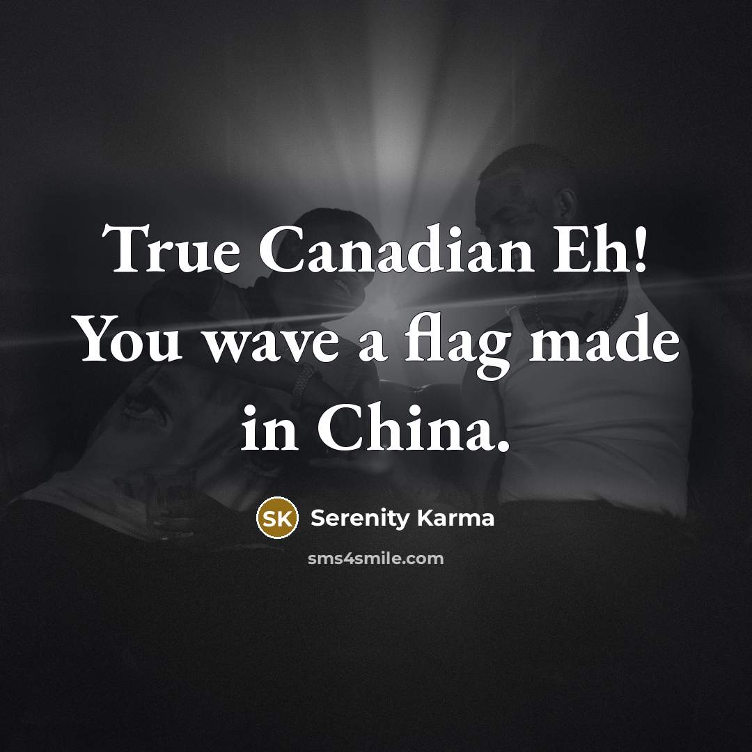 “True Canadian Eh! You wave a flag made in China.…” quote by Serenity Karma