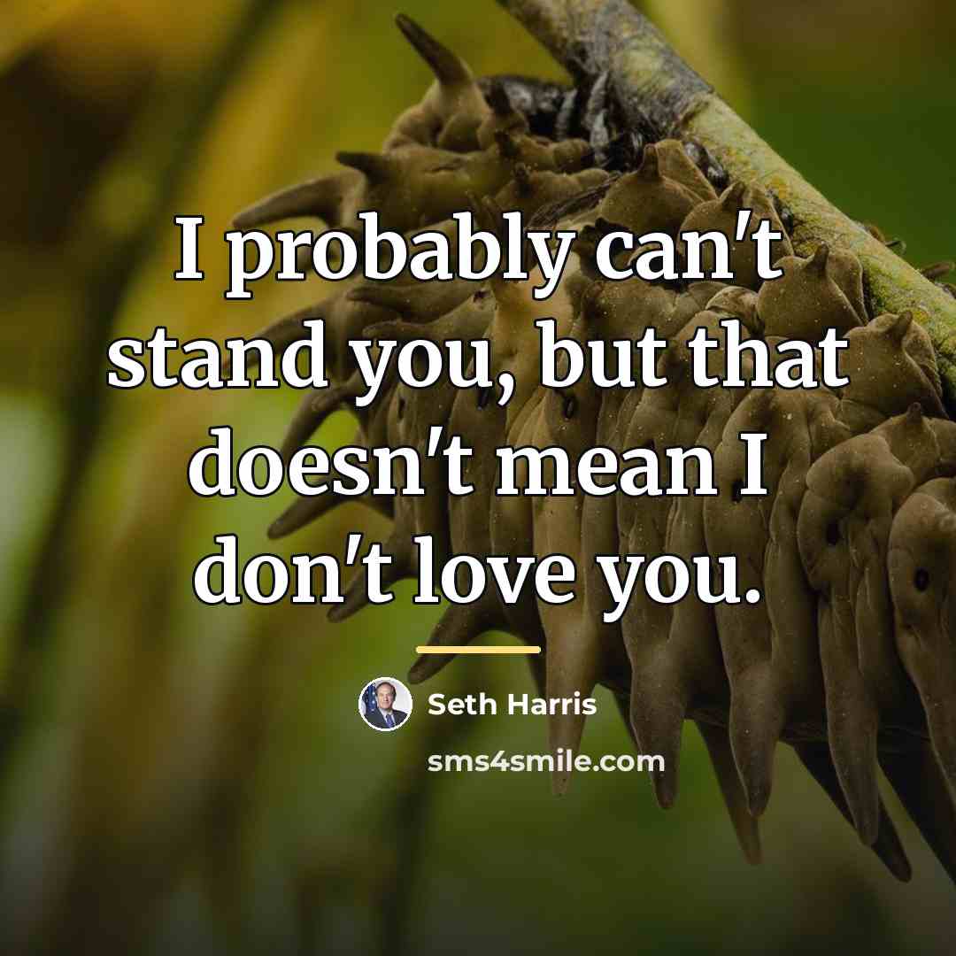 “I probably can't stand you, but that doesn't mean I…” quote by Seth Harris