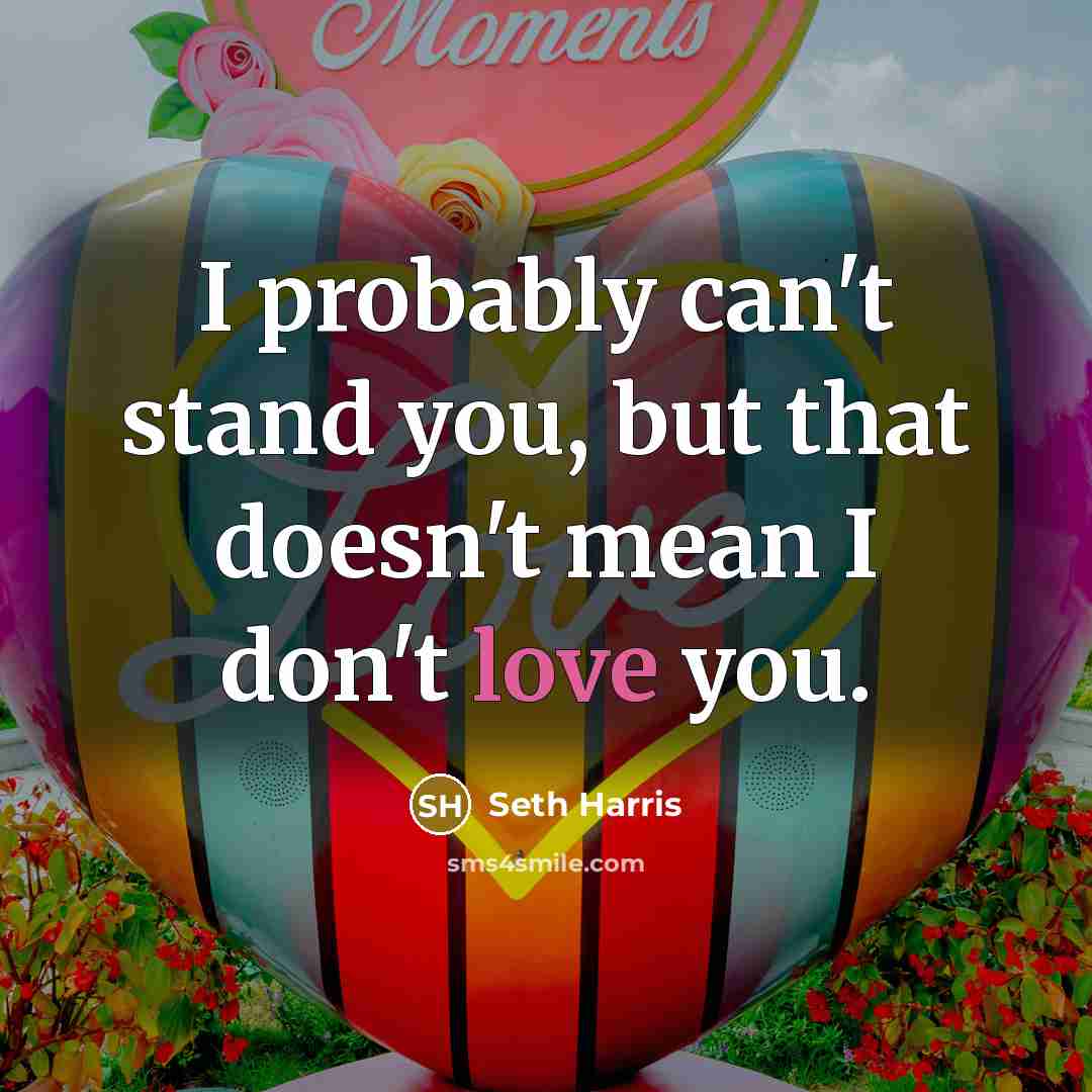 “I probably can't stand you, but that doesn't mean I don't love you.” quote by Seth Harris