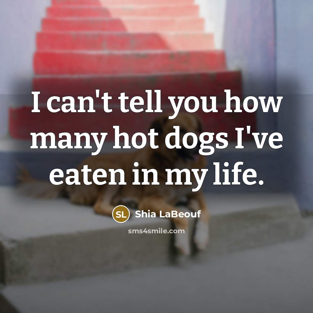 “I can't tell you how many hot dogs I've eaten…” quote by Shia LaBeouf
