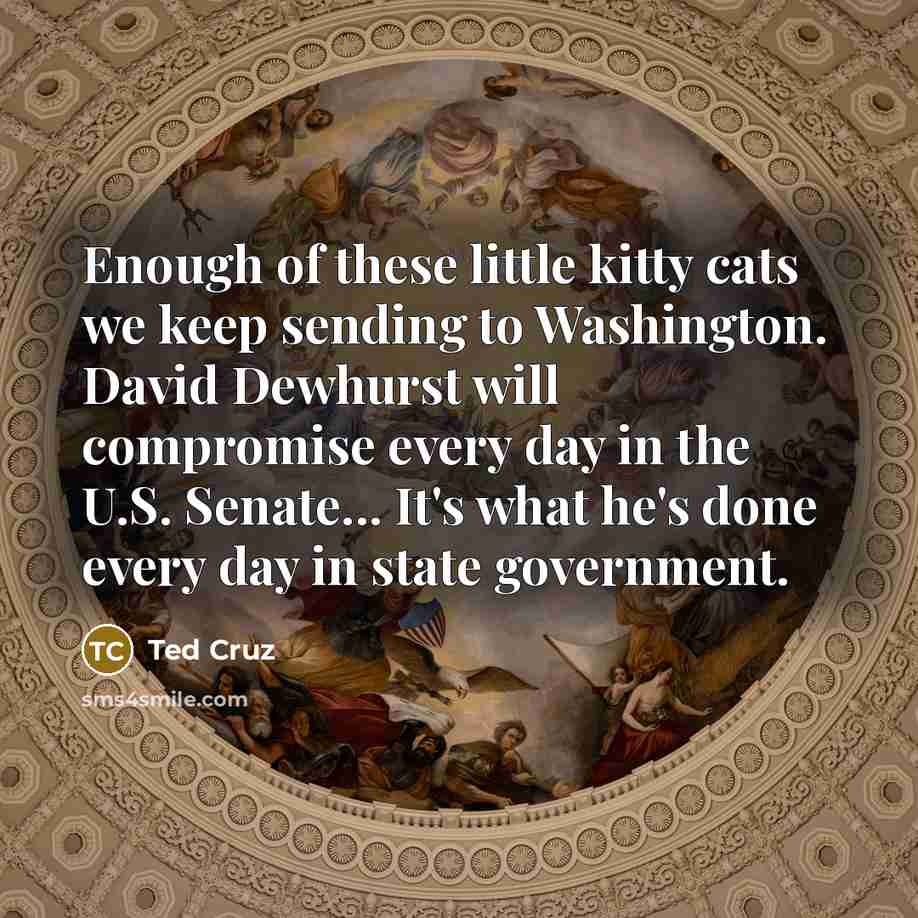 “Enough of these little kitty cats we keep sending to…” quote by Ted Cruz