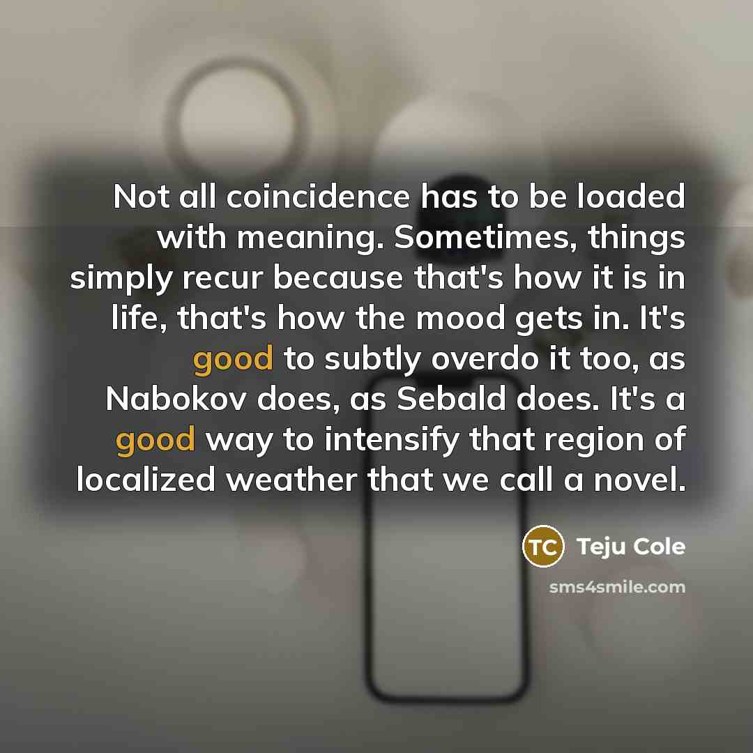 “Not all coincidence has to be loaded with meaning. Sometimes,…” quote by Teju Cole
