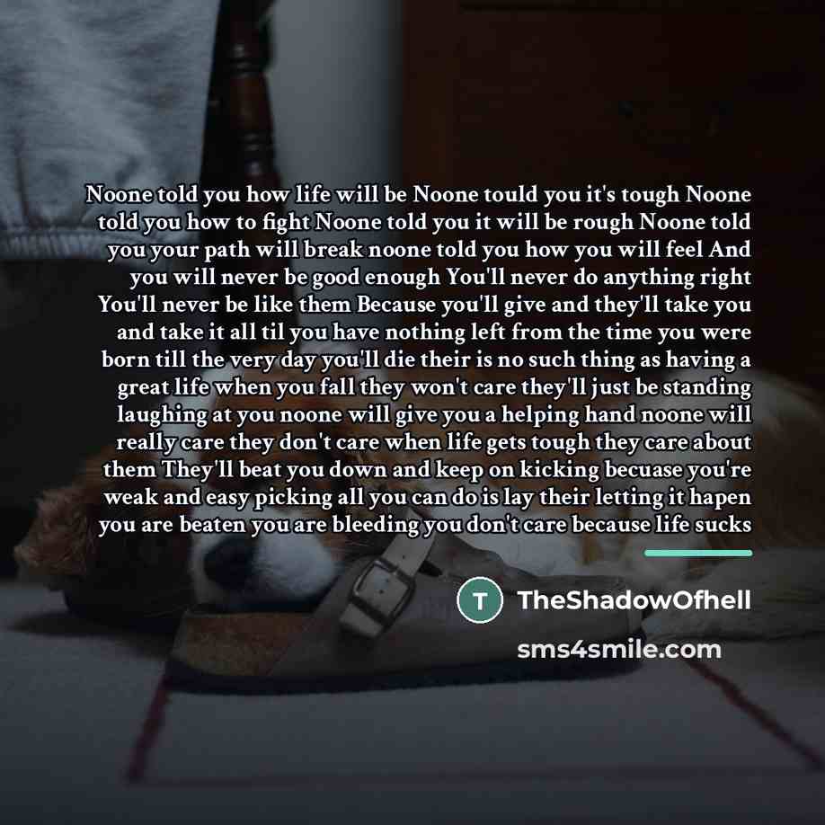 “Noone told you how life will be Noone tould you…” quote by TheShadowOfhell