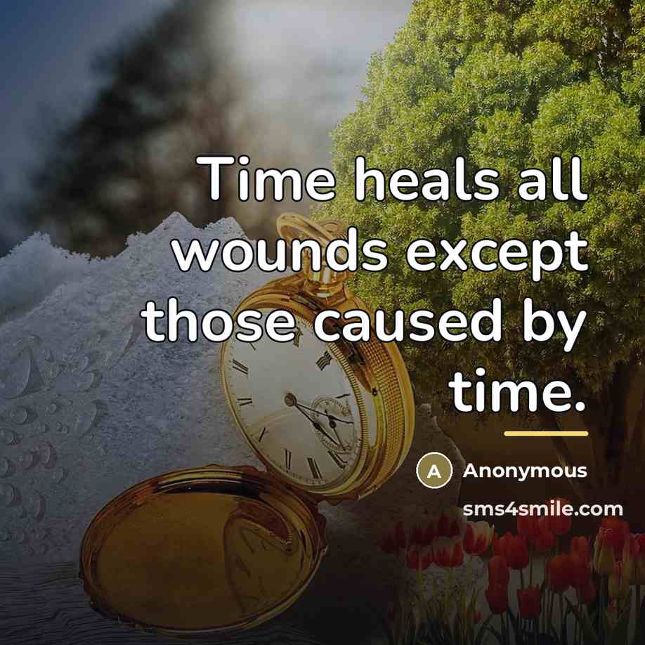 “Time heals all wounds except those caused by time.…” quote by Anonymous