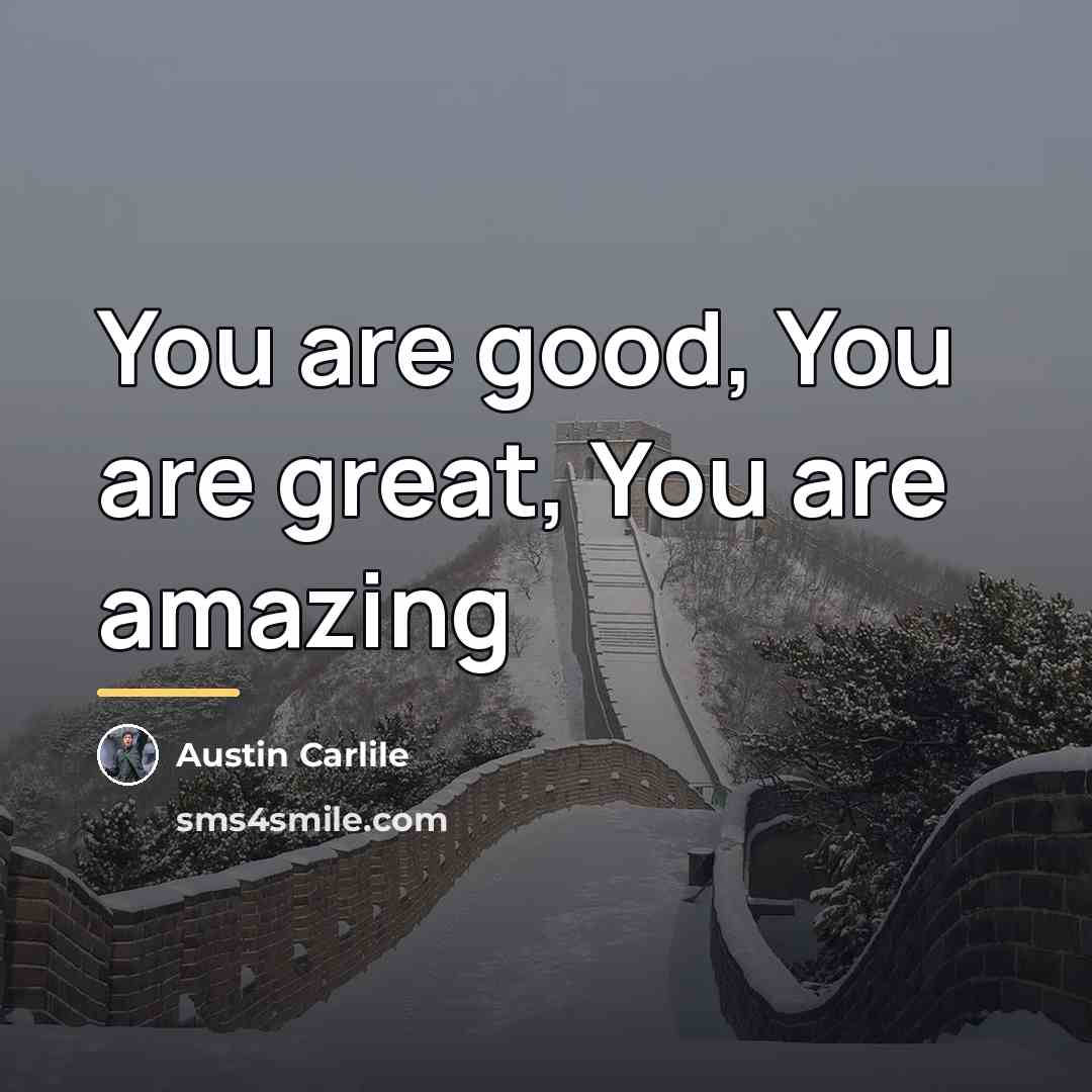“You are good, You are great, You are amazing…” quote by Austin Carlile