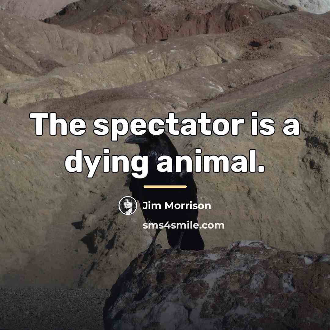 “The spectator is a dying animal.…” quote by Jim Morrison