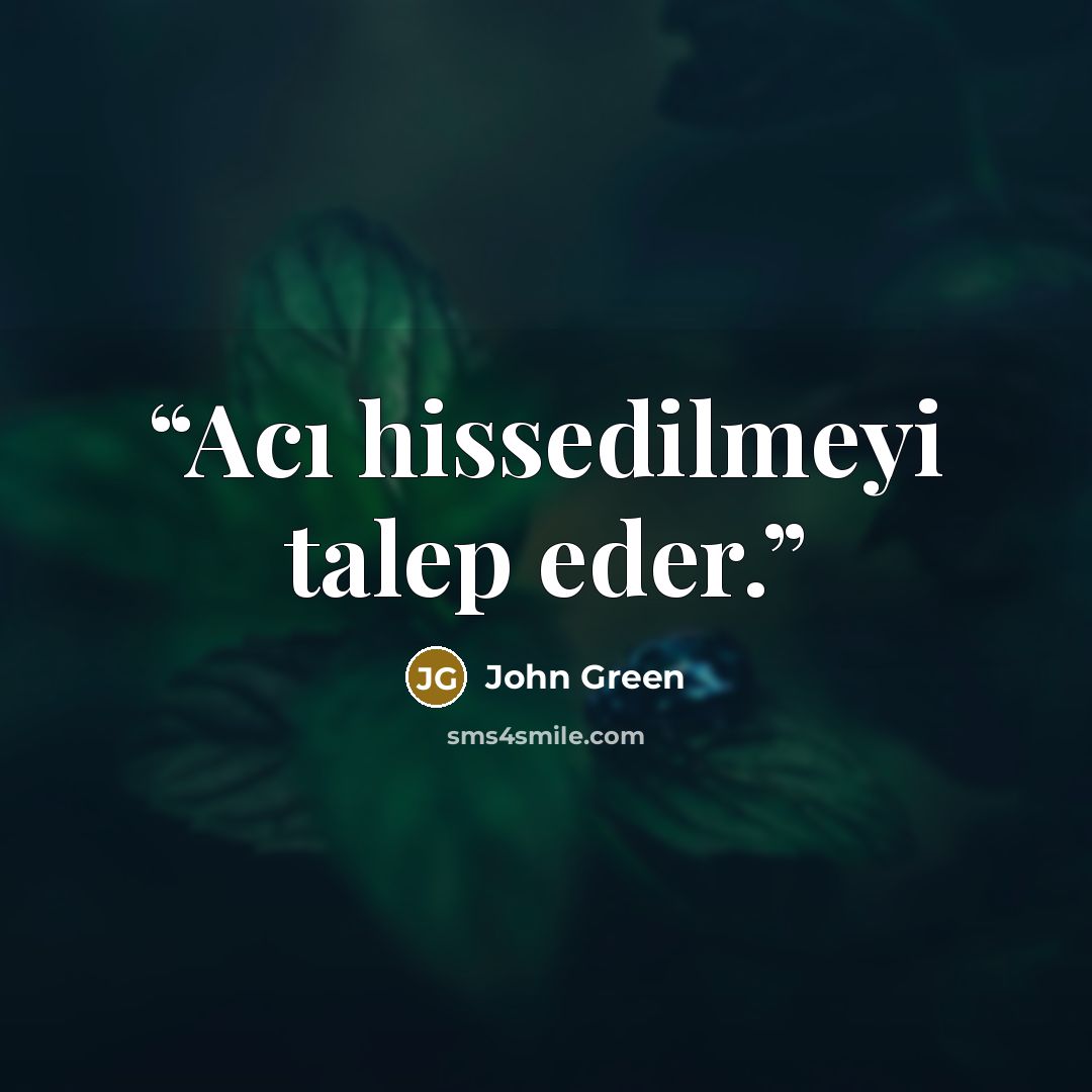 “Acı hissedilmeyi talep eder.” quote by John Green