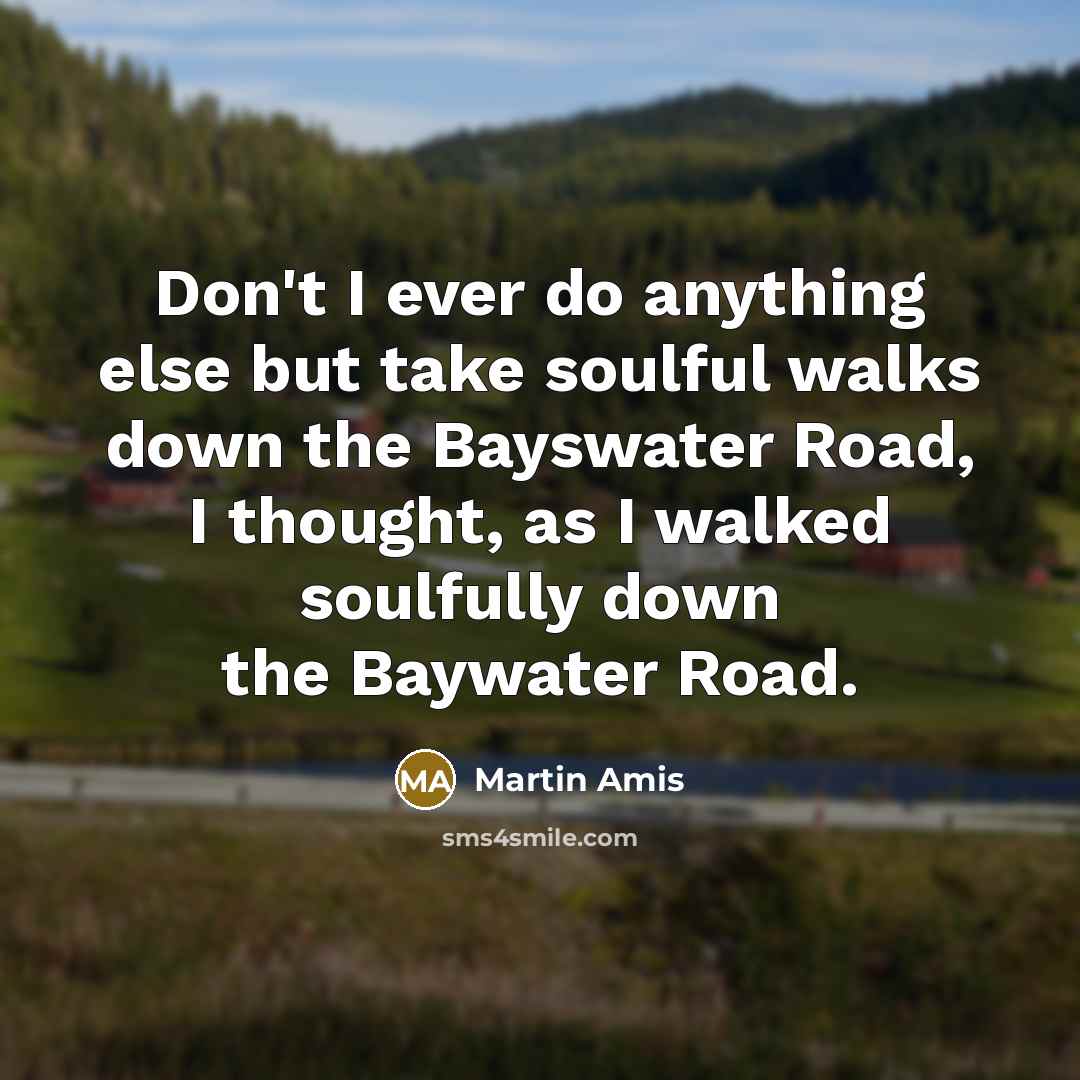 “Don't I ever do anything else but take soulful walks…” quote by Martin Amis