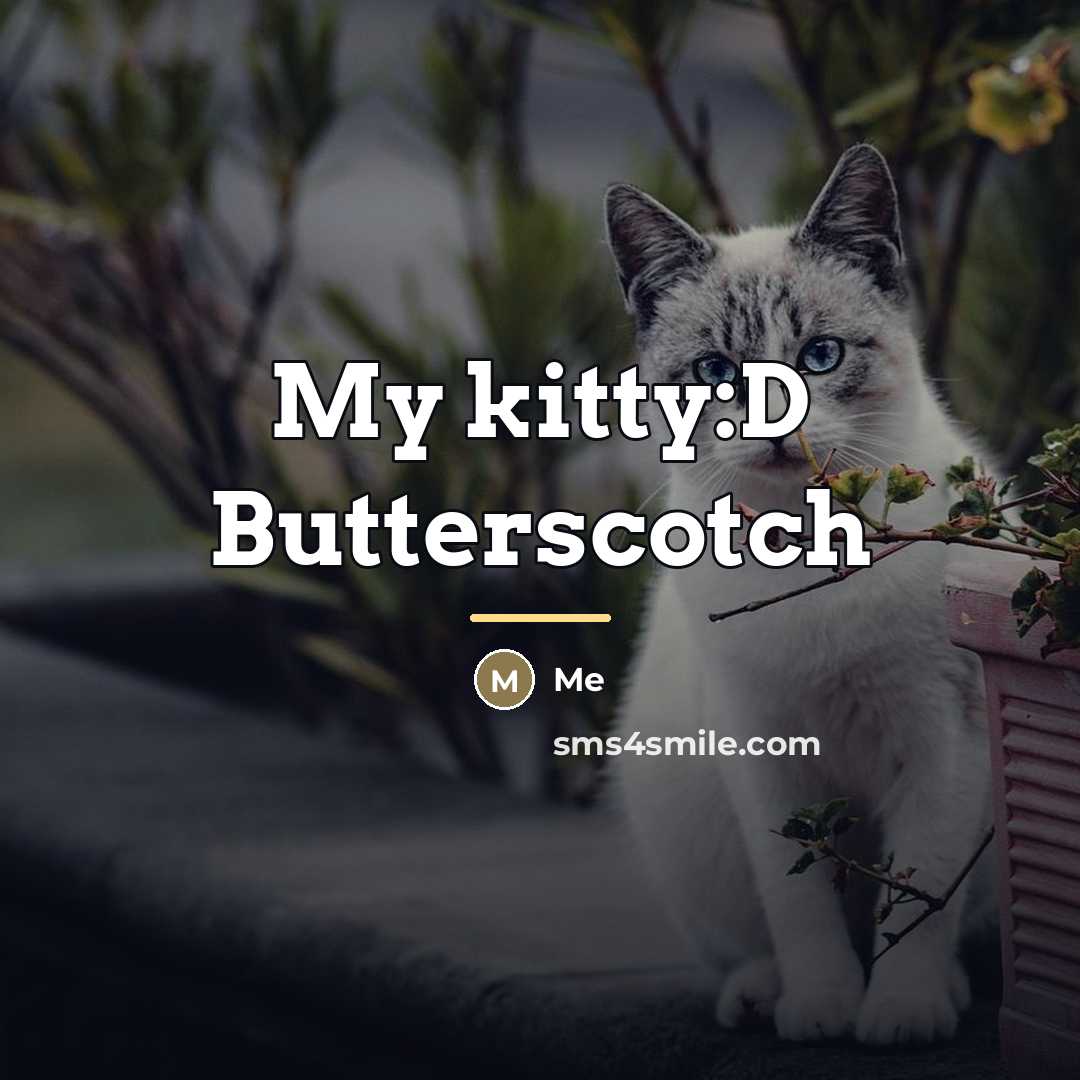 “My kitty:D Butterscotch…” quote by Me