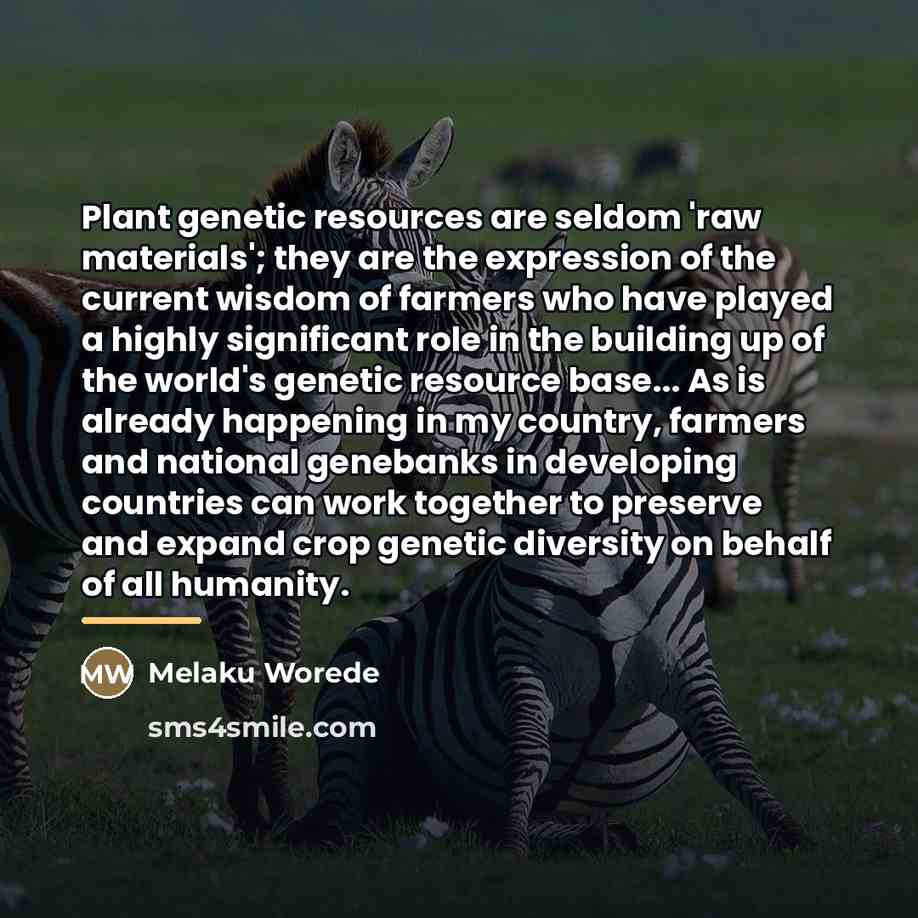 “Plant genetic resources are seldom 'raw materials'; they are the…” quote by Melaku Worede
