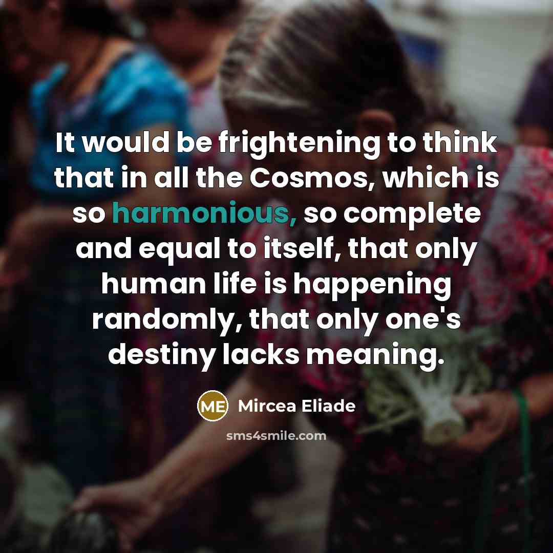 “It would be frightening to think that in all the…” quote by Mircea Eliade