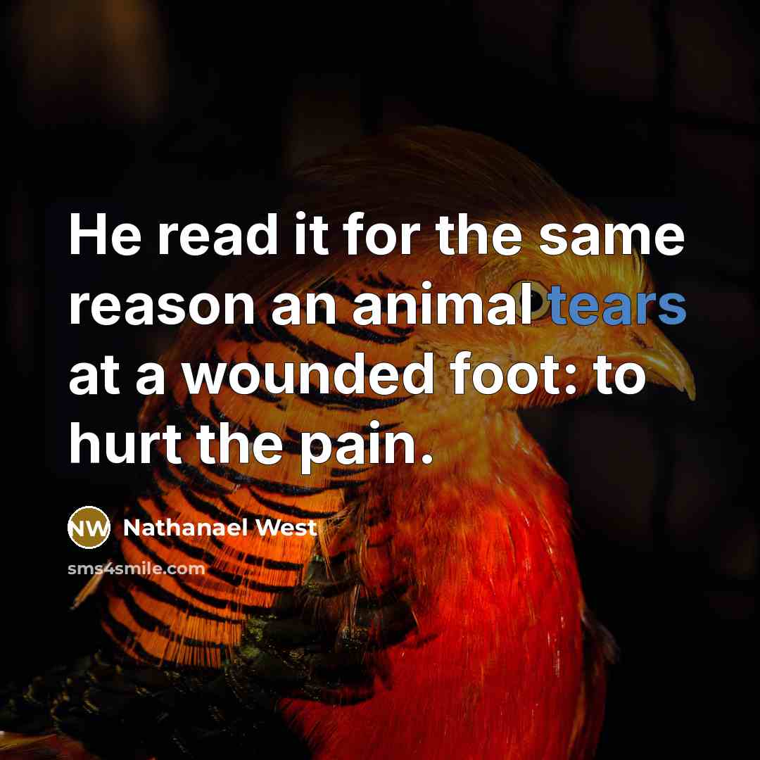 “He read it for the same reason an animal tears…” quote by Nathanael West