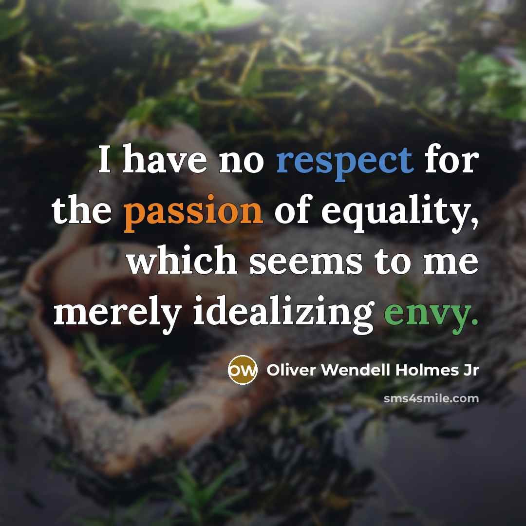 “I have no respect for the passion of equality, which…” quote by Oliver Wendell Holmes Jr