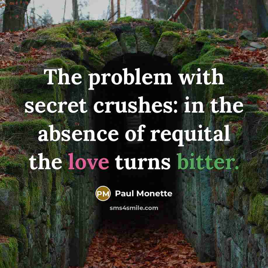 “The problem with secret crushes: in the absence of requital the love turns bitter.” quote by Paul Monette