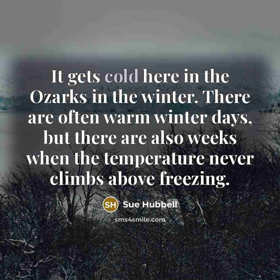 “It gets cold here in the Ozarks in the winter.…” quote by Sue Hubbell