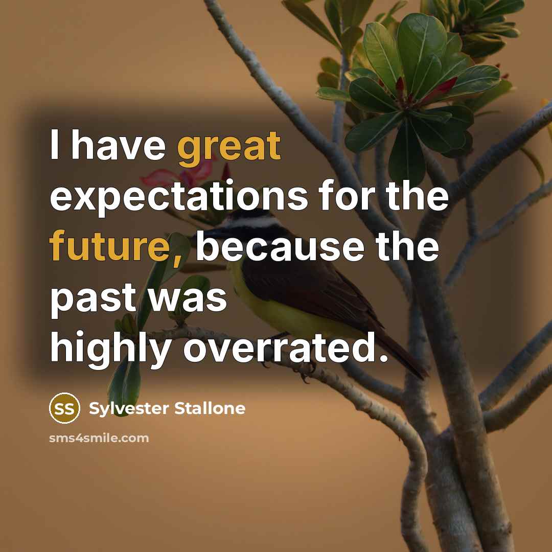 “I have great expectations for the future, because the past was highly overrated.” quote by Sylvester Stallone