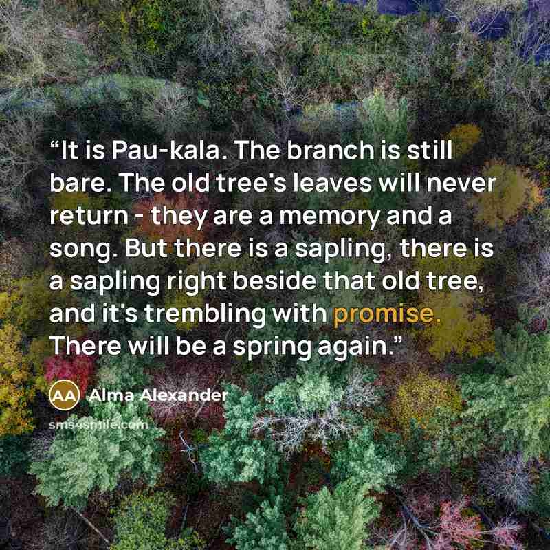 “It is Pau-kala. The branch is still bare. The old tree's leaves will never return - they are a memory and a song. But there is a sapling, there is a sapling right beside that old tree, and it's trembling with promise. There will be a spring again.” quote by Alma Alexander