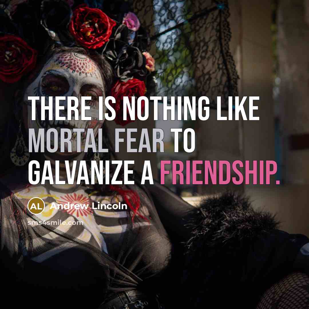 “There is nothing like mortal fear to galvanize a friendship.…” quote by Andrew Lincoln