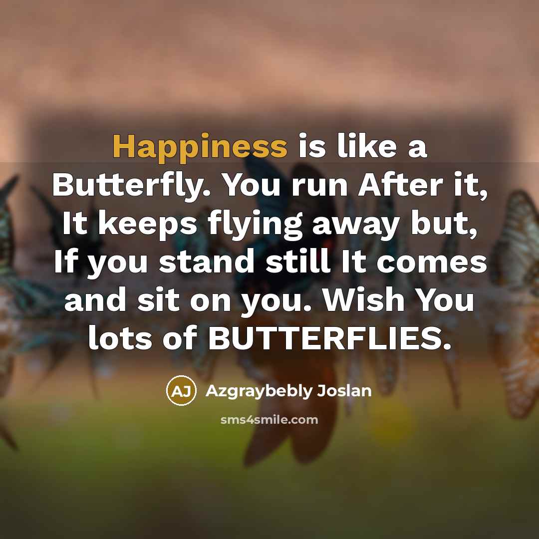 “Happiness is like a Butterfly. You run After it, It keeps flying away but, If you stand still It comes and sit on you. Wish You lots of BUTTERFLIES.” quote by Azgraybebly Joslan